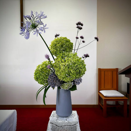 ７月１３日花④