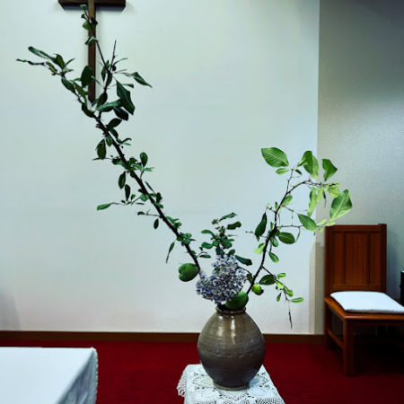 ７月２７日花②