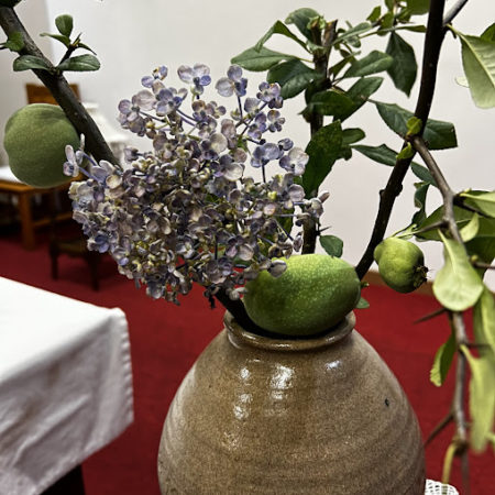 ７月２７日花④