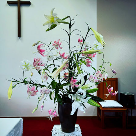 ８月１０日花②