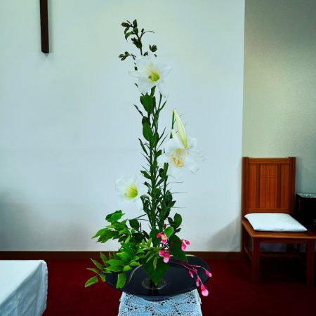 ８月１７日花③