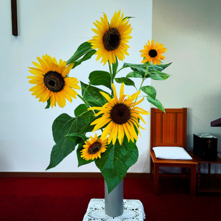 ８月２４日花②