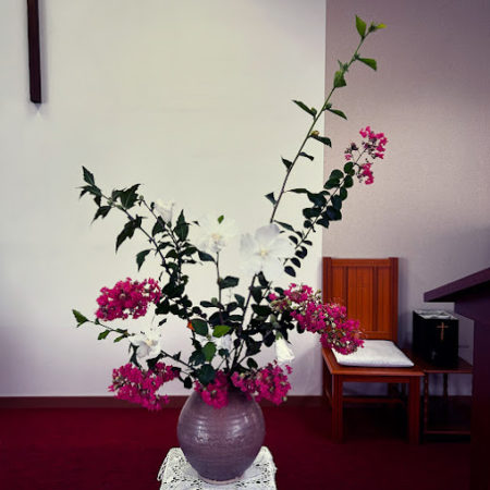 ８月３１日花③