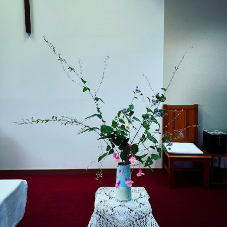 ９月１５日花②