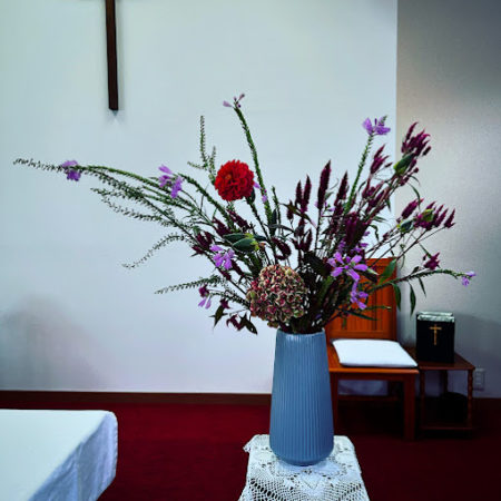 ９月２８日花③