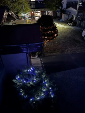 １２月２日クリスマスツリー