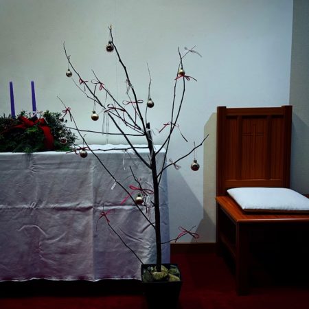 １２月７日花①