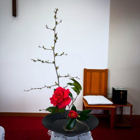 ３月２９日花②