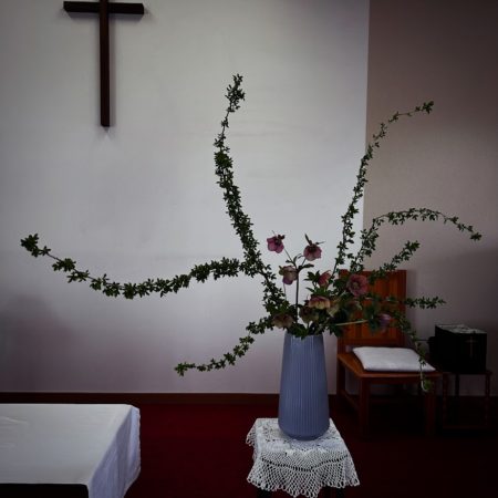 ４月１２日花②