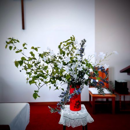 ４月２６日花②