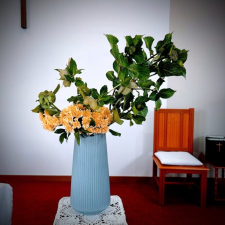 ５月１０日花②