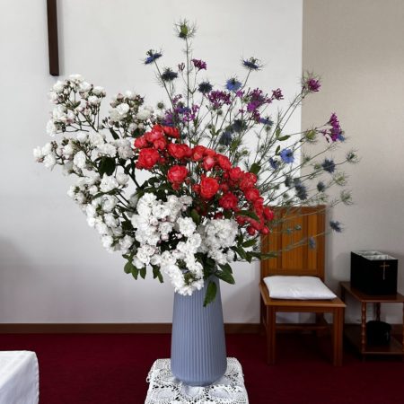 ５月２５日花②