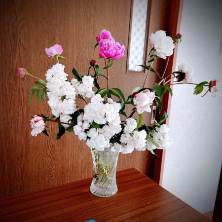 ５月２５日花③