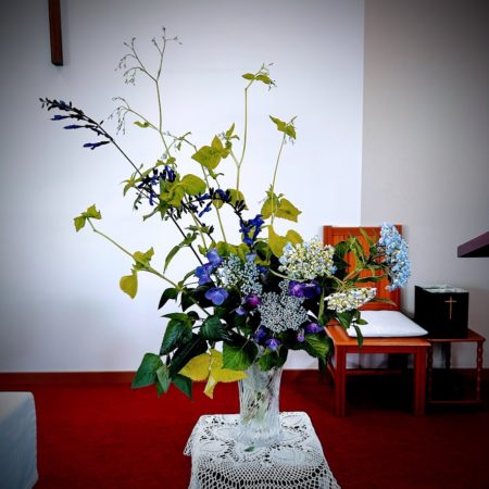 ６月２１日花②