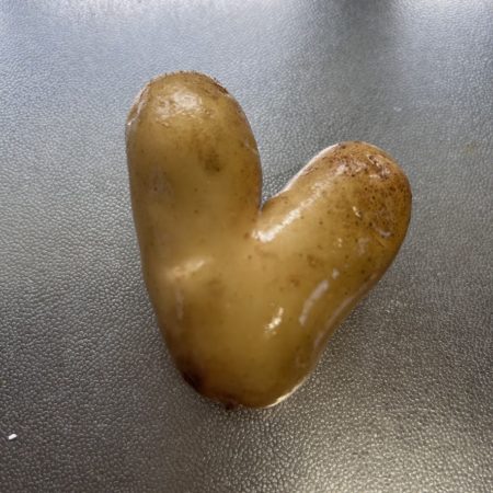 ７月２７日ちいろばじゃがいも