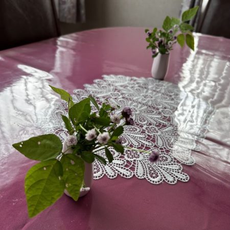 ８月１５日食卓