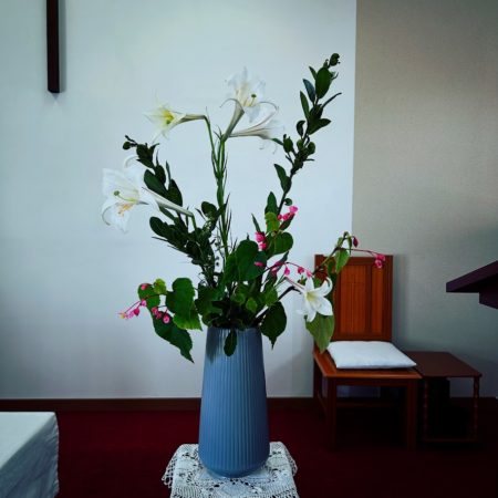 ８月２３日花②