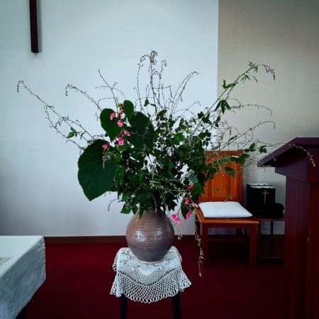 ８月３０日花②