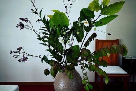 宣教への招き（２０２５.１０.５）聖霊降臨節第１８主日礼拝