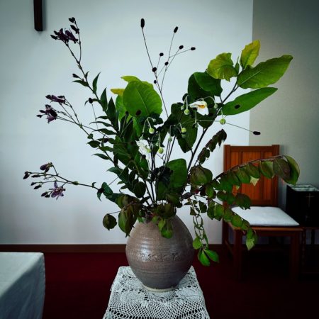 １０月４日花②