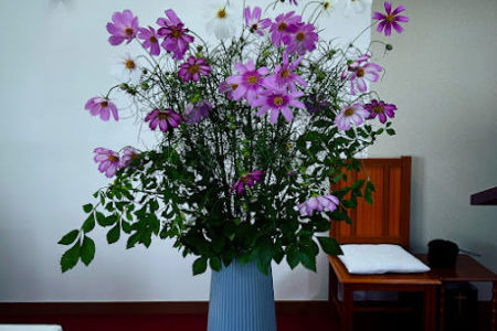 宣教への招き（２０２５.９.２１）聖霊降臨節第１６主日　９月の家族礼拝