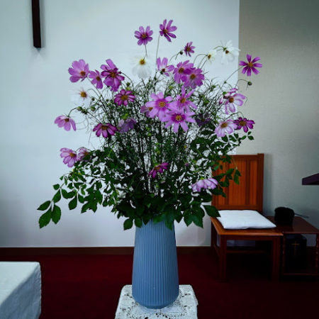 ９月２０日花②