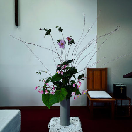 ９月２７日花②