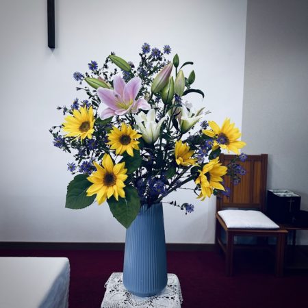 １１月１日花③