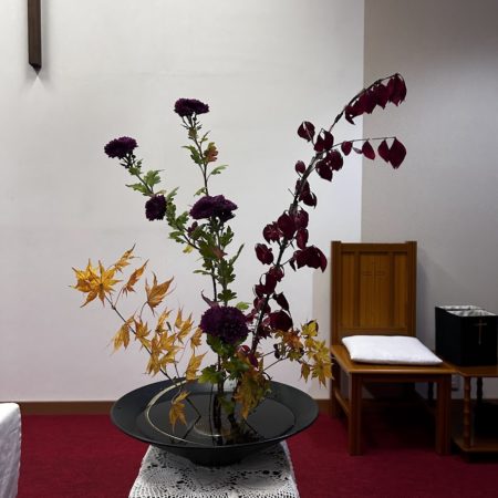 １１月１５日花③