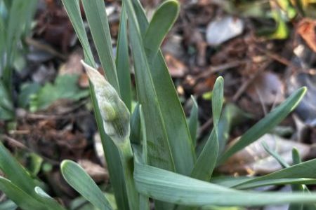 礼拝宣教の動画（２０２６.１.２５）降誕節第５主日礼拝