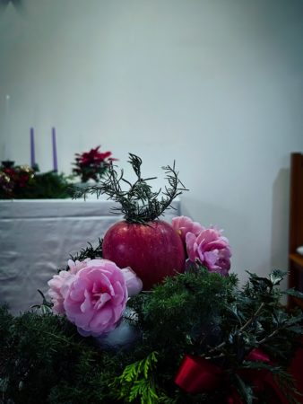 １２月１３日花②