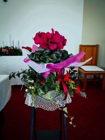 １２月２８日花