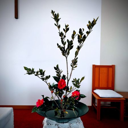 １月１８日花②