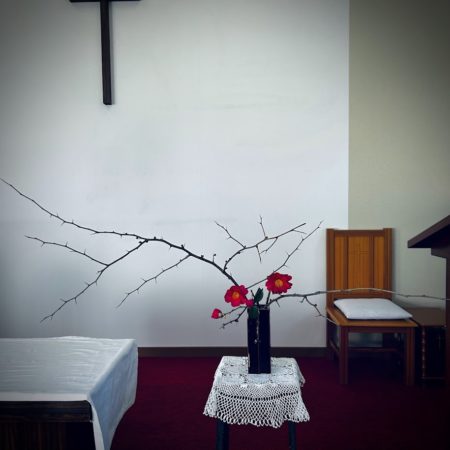 １月２４日花③