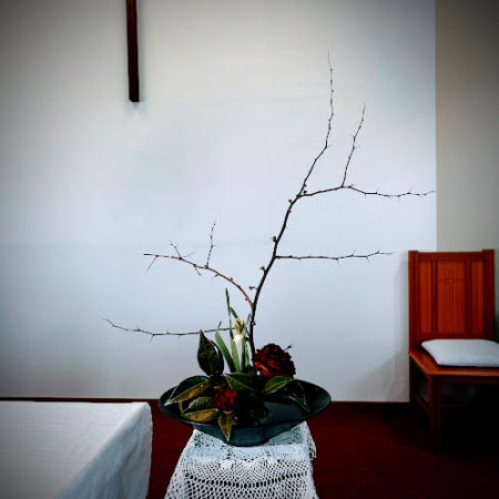 １月３１日花⑤