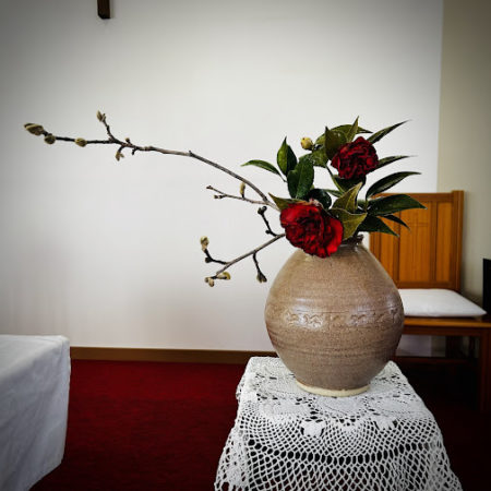 ２月１４日花③