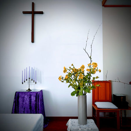 ２月２１日花③