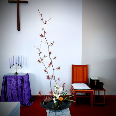 ２月２８日花②