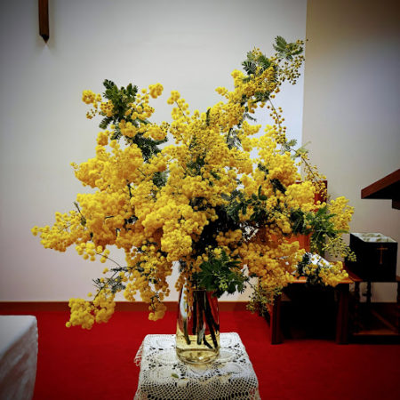 ３月２０日花②