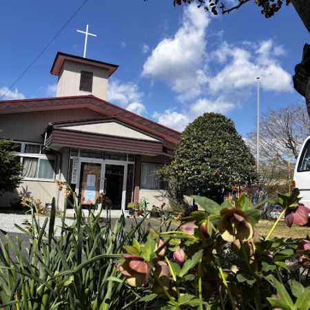 ４月１１日クリスマスローズと教会