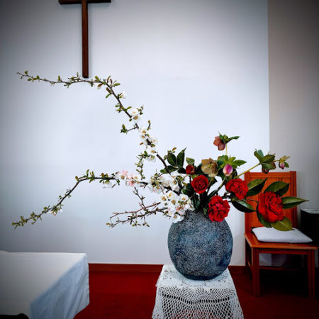 ４月１１日花①