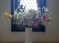 最近のお知らせ