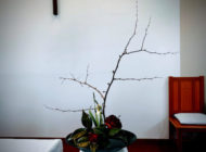 宣教への招き（２０２６.２.１）降誕節第６主日礼拝