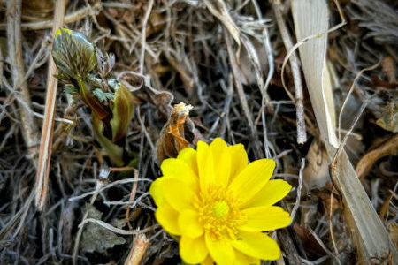 最近のお知らせ