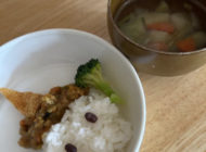 最近のお知らせ