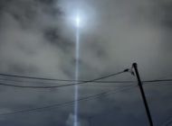 最近のお知らせ