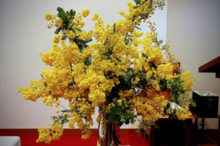 宣教への招き（２０２６.３.２２）受難節第５主日礼拝