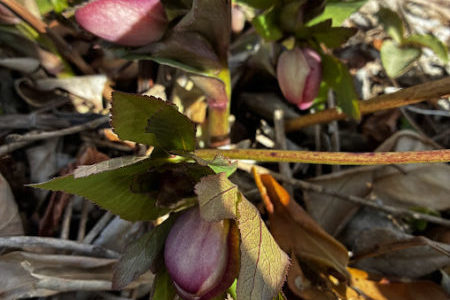 礼拝宣教の動画（２０２６.３.８）受難節第３主日　東日本大震災記念家族礼拝