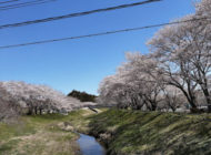 礼拝宣教の動画（２０２６.４.１２）復活節第２主日礼拝