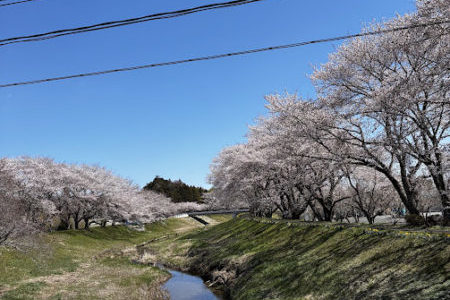 礼拝宣教の動画（２０２６.４.１２）復活節第２主日礼拝